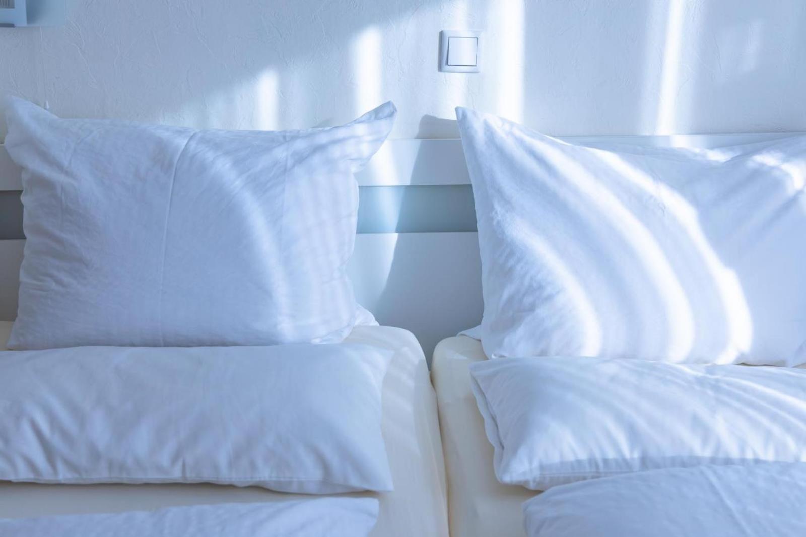 Ferienwohnung 3 Am Petersberg Neef Zewnętrze zdjęcie